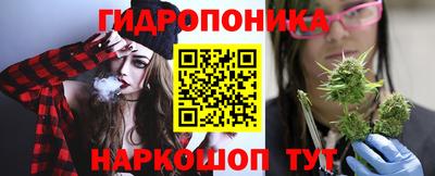 дмт Славгород