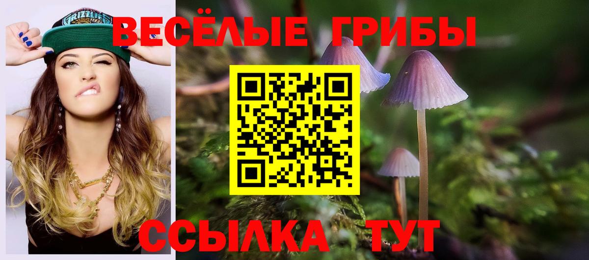 Ноябрьск  Галлюциногенные грибы мицелий  Вход с VPN 